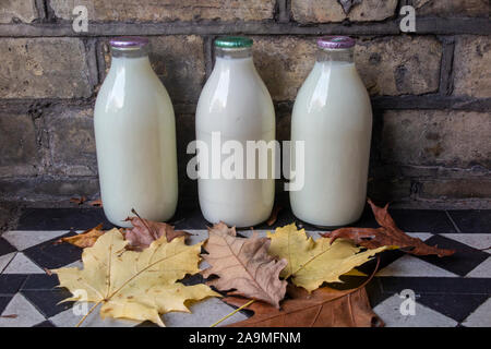 Bottiglie di latte su un fianco, con foglie autunnali cadere Foto Stock