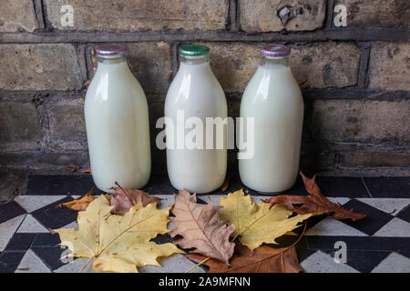 Bottiglie di latte su un fianco, con foglie autunnali cadere Foto Stock