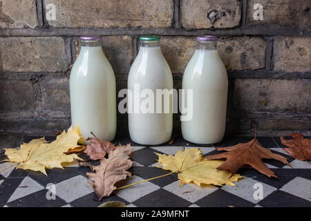 Bottiglie di latte su un fianco, con foglie autunnali cadere Foto Stock