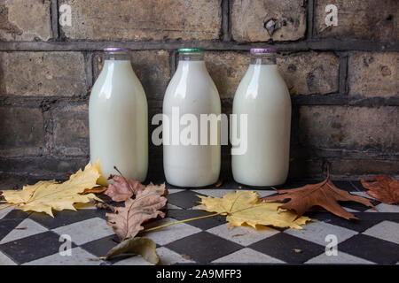 Bottiglie di latte su un fianco, con foglie autunnali cadere Foto Stock