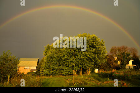 Rainbow inarcamento sopra una cascina nel paese durante l'estate, con un luminoso sole mattutino e distante nuvole temporalesche, Browntown, Wisconsin, STATI UNITI D'AMERICA Foto Stock