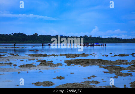 Un gruppo di viaggiatori in impegno nell'attività didattica di inter-tidal a piedi ad Havelock Island (Andaman, India) Foto Stock