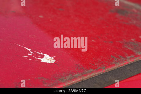 La polvere, il polline, fango, caduta di uccelli e altri detriti sul tetto dell'auto rossa parcheggiata fuori per lungo tempo, closeup photo Foto Stock