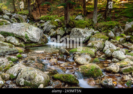 Movimento lento del fiume di montagna.Piccolo ruscello nella foresta selvaggia e pietre con verde muschio. Smoky мountain stream, montagna Rila, Bulgaria. Foto Stock