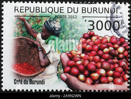 Bacche di caffè appena raccolto sul francobollo del Burundi Foto Stock