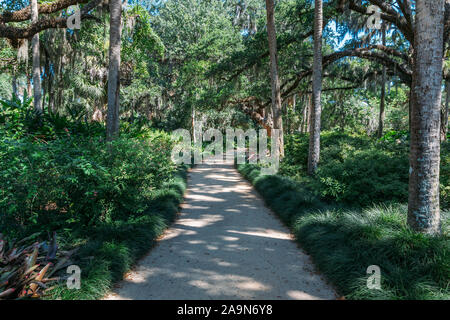 Percorso a piedi in Washington Oaks giardini del parco statale in Palm Coast, Florida. Foto Stock