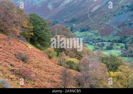 Vista dalla rupe di Gale oltre la collina pendenza con colorati alberi autunnali nel Parco Nazionale del Distretto dei Laghi, REGNO UNITO Foto Stock