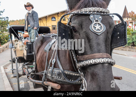 Gite in carrozza trainata da cavalli sono una popolare attività turistica in Helen, Georgia, una in stile bavarese città nel nord della Georgia montagne. (USA) Foto Stock