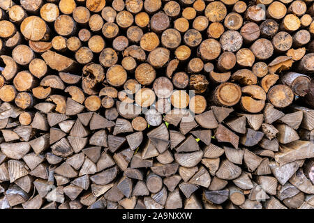 Messa a fuoco ravvicinata sul log tagliato boschi da albero pronto per l'uso come combustibile legna da ardere in fuochi. Foto Stock