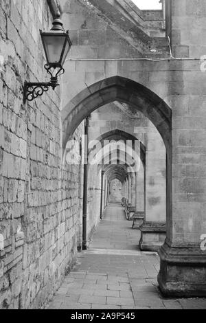 La Cattedrale di Winchester chiostri, Winchester, Hampshire, Regno Unito Foto Stock