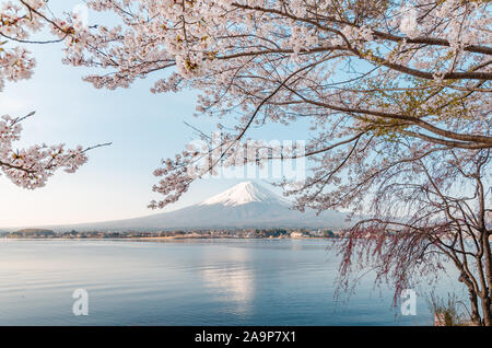 Maestoso Monte Fuji durante la stagione primaverile come vista dal Lago Kawaguchiko. La città offre una delle migliori vedute di Fujisan o del Monte. Fuji. Foto Stock
