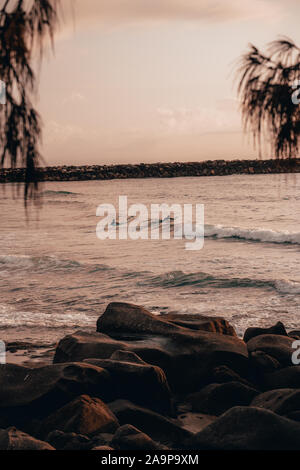 Due surfisti paddling presso sunrise a tornitori Beach, Yamba Nuovo Galles del Sud. Foto Stock