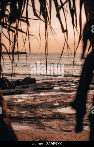 Due surfisti paddling presso sunrise a tornitori Beach, Yamba Nuovo Galles del Sud. Foto Stock