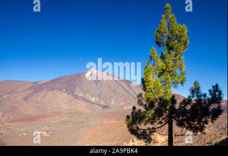 Tenerife, vista verso il Teide dal sentiero della salita di Guajara mountain Foto Stock