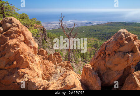 Tenerife sud-centrale comune Vilaflor, Monte Guajara - escursione Villaflor, paesaggi vulcanici Foto Stock