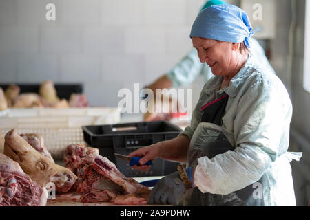 Bilarus, la città di Gomil, 26 aprile 2019. La fabbrica di carne. Macello. I lavoratori del negozio di carne al lavoro. Donna butcher tagli carcasse di maiale con Foto Stock