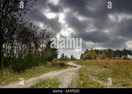 Colorfull alberi e un cielo nuvoloso, Autunno nel Parco Nazionale di Hoge Kempen, Belgio. Foto Stock