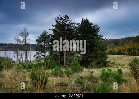 Colorfull alberi e un cielo nuvoloso, Autunno nel Parco Nazionale di Hoge Kempen, Belgio. Foto Stock