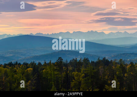 Ampio angolo di panorama autunno foresta,Misty Hills cime in rosa alba. Foto Stock