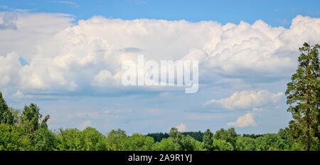 Cumulus e frastagliato cirrus nuvole su un cielo blu sopra le cime degli alberi. Estate naturale sfondo con spazio di copia Foto Stock