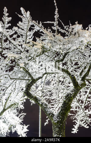 Inverno magico parco una fiaba, mistero. Winter snow park alley di notte le luci del paesaggio. Neve a notte invernale park alley panorama Foto Stock