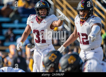 Greensboro, NC, Stati Uniti d'America. Xvi Nov, 2019. La Bethune Cookman linebacker Devin James (31) urla la copertura durante il NCAA Football azione di gioco tra la Bethune Cookman Wildcats e North Carolina A&T Aggies. NC A&T sconfitto BCU 44-17 a BB&T Stadium di Greensboro, N.C. Romeo T Guzman/CSM/Alamy Live News Foto Stock