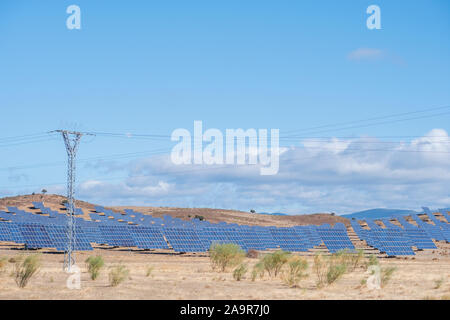 I pannelli solari con tracker di campo generano energia sostenibile con un albero elettrico in primo piano per il trasporto di elettricità generata, Foto Stock