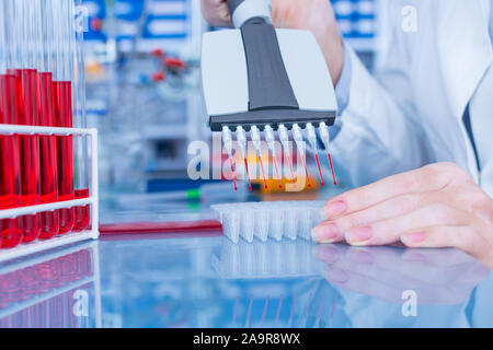 Pipetta multicanale in laboratorio Foto Stock