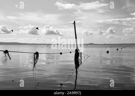 Il lago di Bolsena Visualizza con boe galleggianti e reti da pesca contro un cielo blu con alcune nuvole. Colline sullo sfondo. Il lago di Bolsena, Italia. Foto Stock