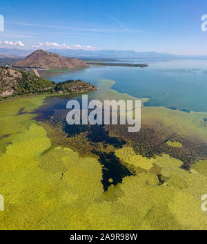 Vista aerea del Lago di Scutari o Lago di Scutari, Montenegro. Circondato dal parco nazionale da una natura incontaminata e la fauna selvatica, colline e montagne Foto Stock