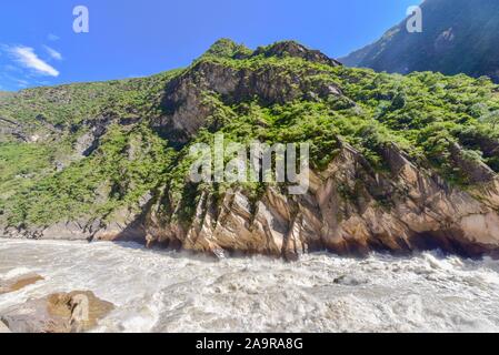 Tiger salta in gola in Shangri-La, Cina Foto Stock