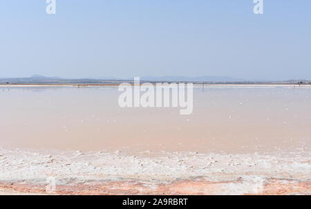 Pink Salt Lake a Torrevieja opere di sale, Torrevieja Alicante, Spagna Foto Stock