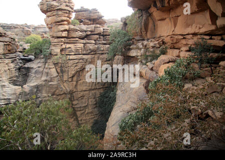 Paese Dogon : villaggio di Ambakele Foto Stock