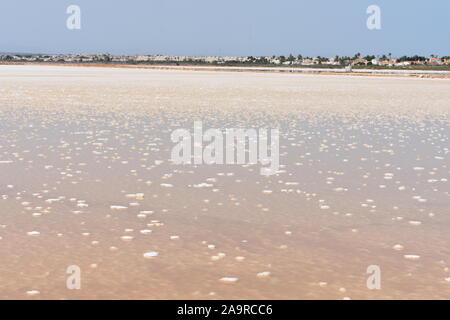 Pink Salt Lake a Torrevieja opere di sale, Torrevieja Alicante, Spagna Foto Stock