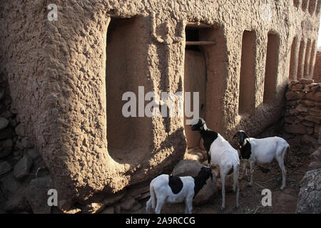 Paese Dogon : villaggio di Soroli Foto Stock