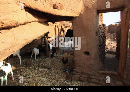 Paese Dogon : villaggio di Soroli Foto Stock