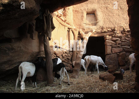 Paese Dogon : villaggio di Soroli Foto Stock