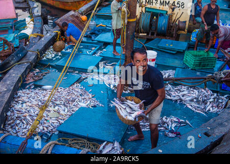Pescatori indiani che lavorano a Sassoon Docks in Mumbai India Foto Stock