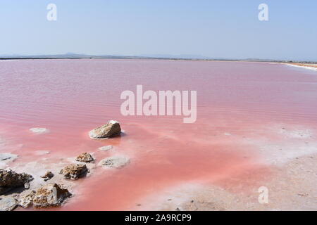 Pink Salt Lake a Torrevieja opere di sale, Torrevieja Alicante, Spagna Foto Stock