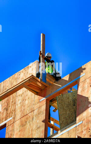 L'uomo arroccato su di un legno scheletro interno di un nuovo edificio di appartamenti nel centro cittadino di Tucson AZ Foto Stock