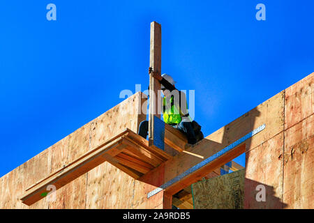 L'uomo arroccato su di un legno scheletro interno di un nuovo edificio di appartamenti nel centro cittadino di Tucson AZ Foto Stock