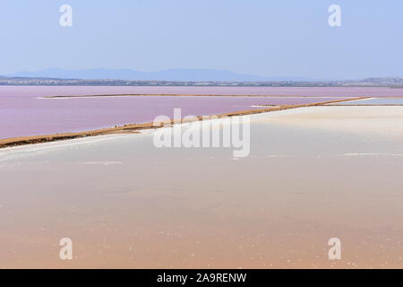 Rosa i laghi di sale a Torrevieja opere di sale, Torrevieja Alicante, Spagna Foto Stock