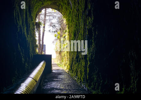 L'uscita di 800m lungo tunnel Rabacal sul levada a piedi il 25 fontane e cascate di Risco ("Levada 25 das Fontes e Cascada da Risco') Foto Stock