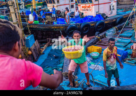 Pescatori indiani che lavorano a Sassoon Docks in Mumbai India Foto Stock