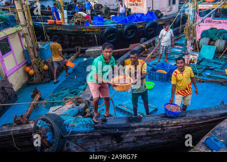 Pescatori indiani che lavorano a Sassoon Docks in Mumbai India Foto Stock