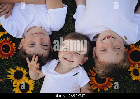 I ragazzi in campi di girasoli Foto Stock