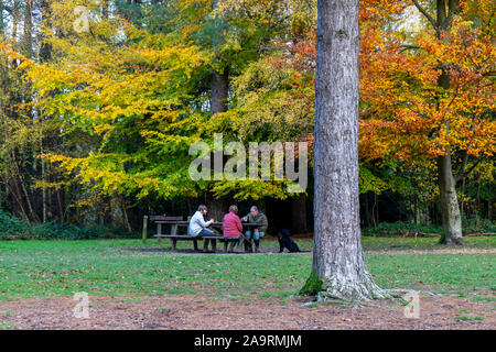 Una famiglia e il loro cane seduti insieme su un banco di picnic in un paese parco in autunno o cadere, foresta di bere, Wickham, Hampshire, Regno Unito Foto Stock