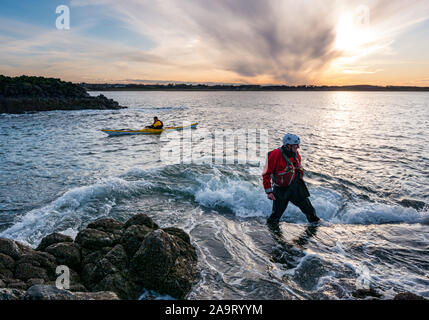 Lamb Island, Firth of Forth, Scozia, Regno Unito. 17 Nov 2019. Gita in kayak sul mare di Lothian all'Isola di Lamb. Il club di kayak di mare fa un viaggio durante l'inverno ogni anno per ‘mpermettere bash' di liberare l'isola di mallow albero che impedisce ai puffins di fare i burrows. L'isola è difficile da atterrare in barca ma accessibile in kayak, anche se l'inontridamento rende difficile tornare in kayak Foto Stock