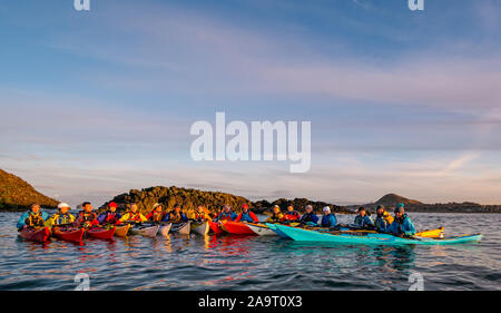 Lamb Island, Firth of Forth, Scozia, Regno Unito. 17 Nov 2019. Gita in kayak sul mare di Lothian all'Isola di Lamb. Il club di kayak di mare fa un viaggio durante l'inverno ogni anno per ‘mpermettere bash' di sbarazzarsi l'isola di mallow albero. L'isola è difficile da atterrare in barca ma accessibile in kayak. Il gruppo torna a North Berwick al tramonto Foto Stock