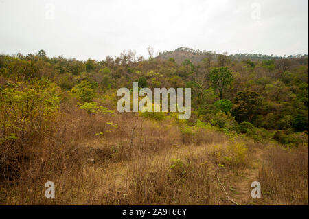 Passeggiate attraverso la abbandonata) Percorrere village, reso famoso da Jim Corbett nel libro maneaters del Kumaon, Kumaon Hills, Uttarakhand, India Foto Stock